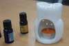 Klasszikus Fehér Aromalámpa - Magas Bagoly-2
