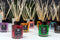 Egres ás Fehér Tea Pálcikás Diffúzor 120ml-1