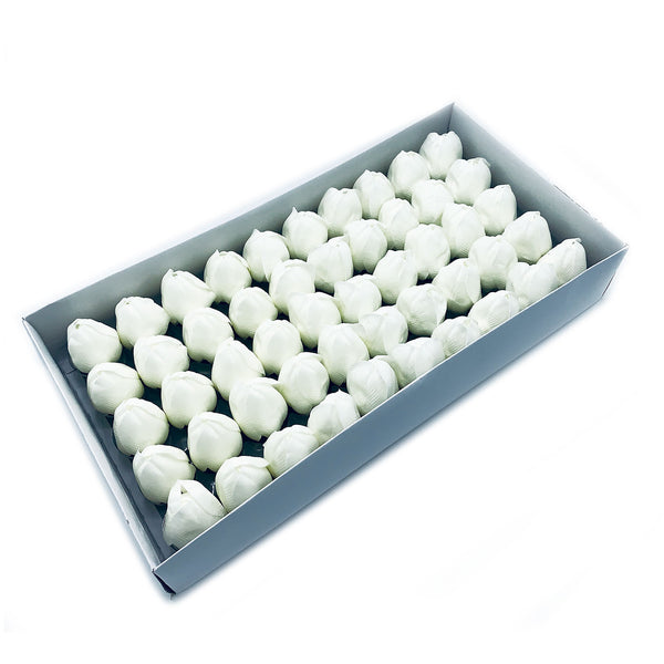 Szappanvirágok - Közepes Tulipán - Vajszínű-0