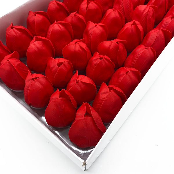 Szappanvirágok - Közepes Tulipán - Piros-1