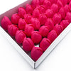 Szappanvirágok - Közepes Tulipán - Púderrózsaszín-1