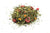 Zöld Sárkány Keverék 1Kg-0