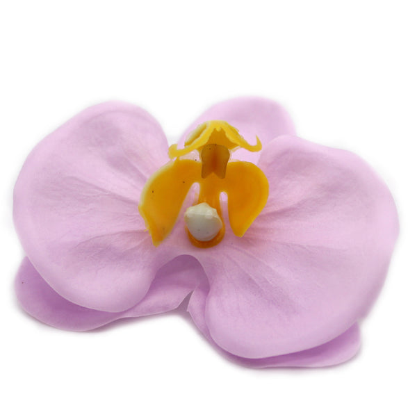 Szappanvirágok - Orchidea- Lila-1