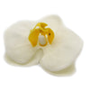 Szappanvirágok - Orchidea- Krémszínű-1