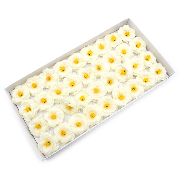 Szappanvirágok - Kamélia- Krémszínű-0