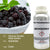 Hamvas Szeder Illatolaj- 500ml-0