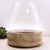Nagy Terrárium Natúr Tung Fával- 17x19cm-0
