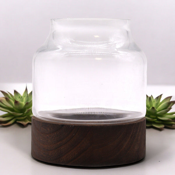 Kicsi Terrárium Sötét Tung Fával - 12x13cm-0