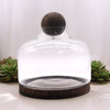 Extra Nagy Terrárium Sötét Tung Fával és Golyóval - 23x23cm-0