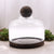 Extra Nagy Terrárium Sötét Tung Fával és Golyóval - 23x23cm-0