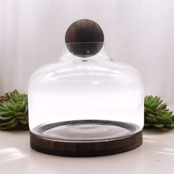 Extra Nagy Terrárium Sötét Tung Fával és Golyóval - 23x23cm-0