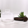 Extra Nagy Terrárium Sötét Tung Fával és Golyóval - 23x23cm-3