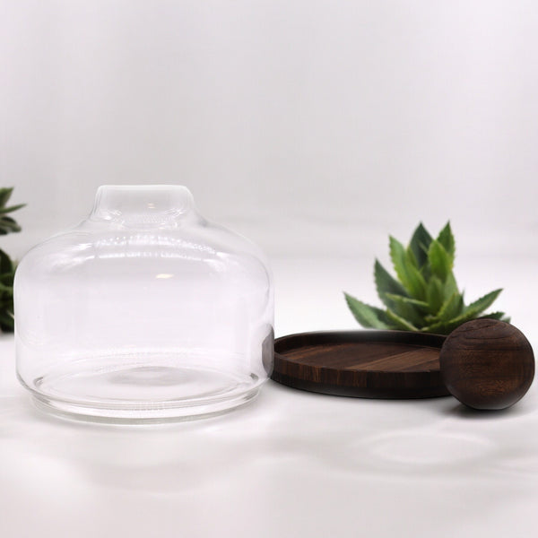 Extra Nagy Terrárium Sötét Tung Fával és Golyóval - 23x23cm-3