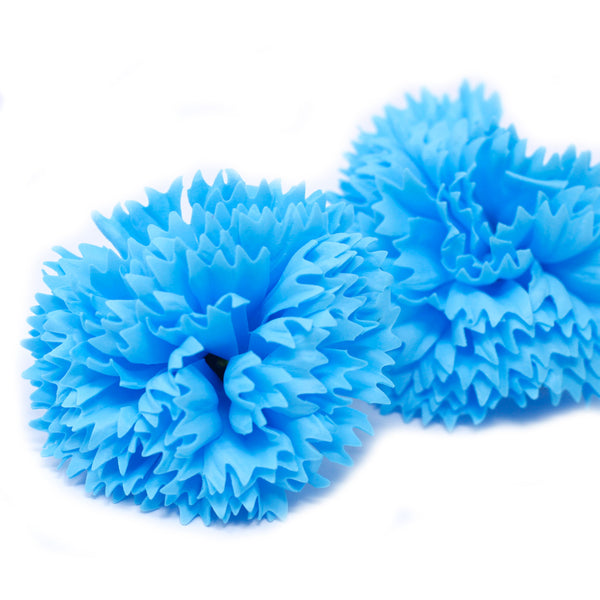 Szappanvirágok - Szegfű - Kék-2