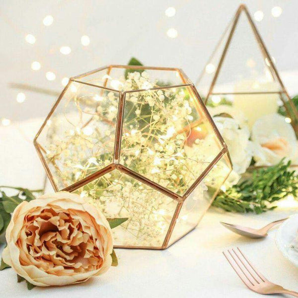 Üveg Terrárium - Lámpás-5