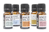 10ml Aromaterápiás Olaj Autós Aroma Diffúzorba - Hosszú Út-2
