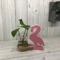 Hidroponikus Dekorációs Kaspó - Rózsaszín Flamingo