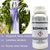 Somnus Illatolaj- 500ml-0