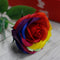 Luxus Szappanvirág - Szivárványos Rózsa