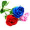 Szappanvirág - Kék Rózsa
