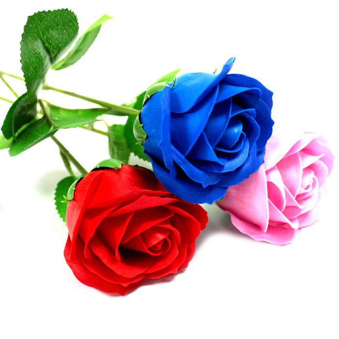 Szappanvirág - Rózsaszín Rózsa